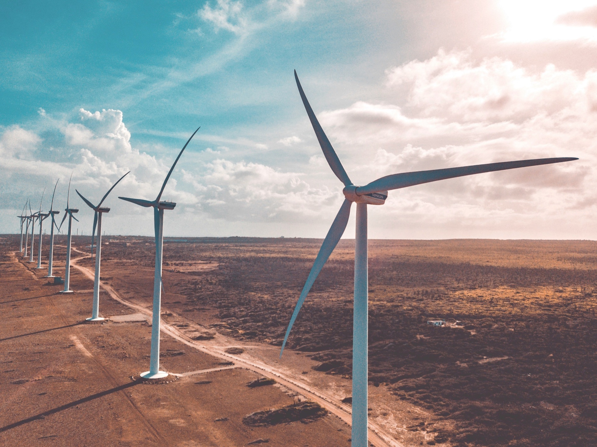 A row of wind turbines along an unsealed access track across open scrubland.